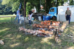 IMG_2260.jpg
