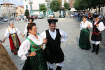 IMG_2375.jpg