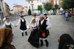 IMG_2373.jpg