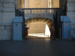 _4223634431.jpg
