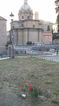 _0124899056.jpg