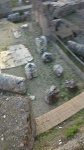 _1014583348.jpg