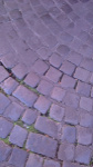 _3185962703.jpg