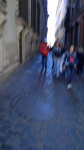 _3359310514.jpg