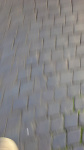 _3856189037.jpg