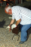IMG_2010_07_09_0014.JPG